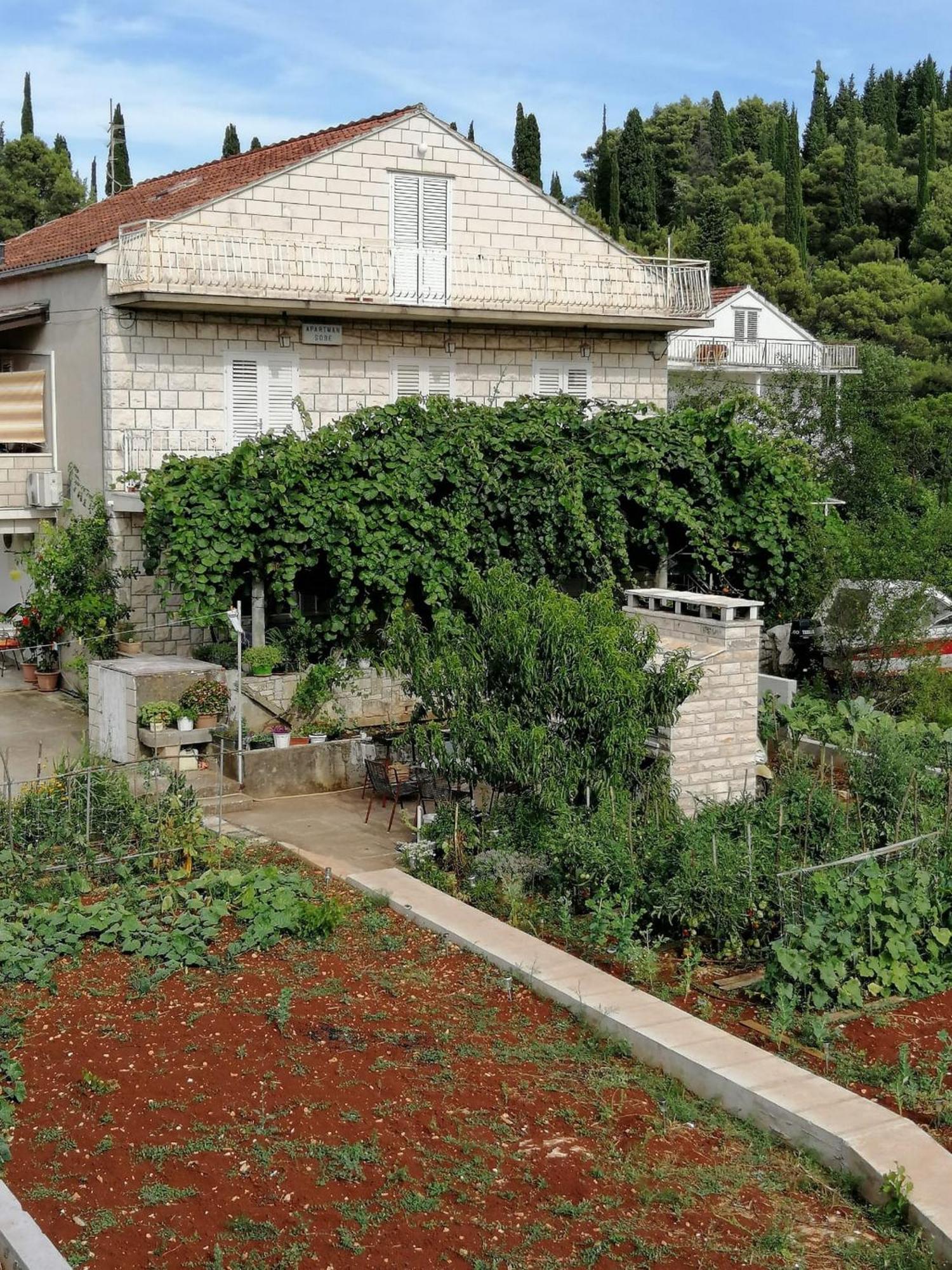 Apartments Marita Korcula Town Ruang foto